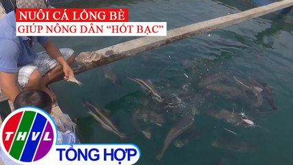 Làm giàu từ nghề nuôi cá lồng bè trên biển Nam Du