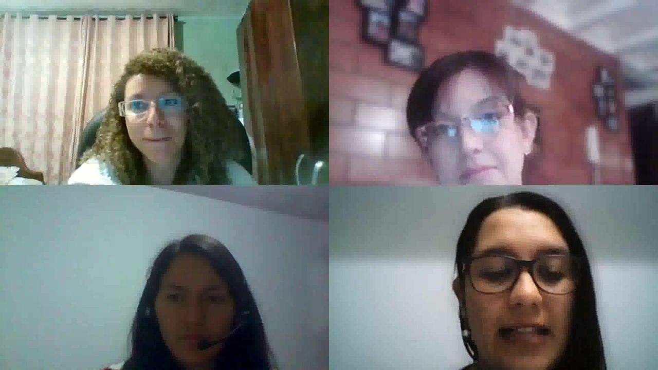 Encuentro PPI 19_05_2020