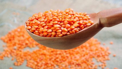 "Kırmızı mercimeğin yok olma tehlikesi var''