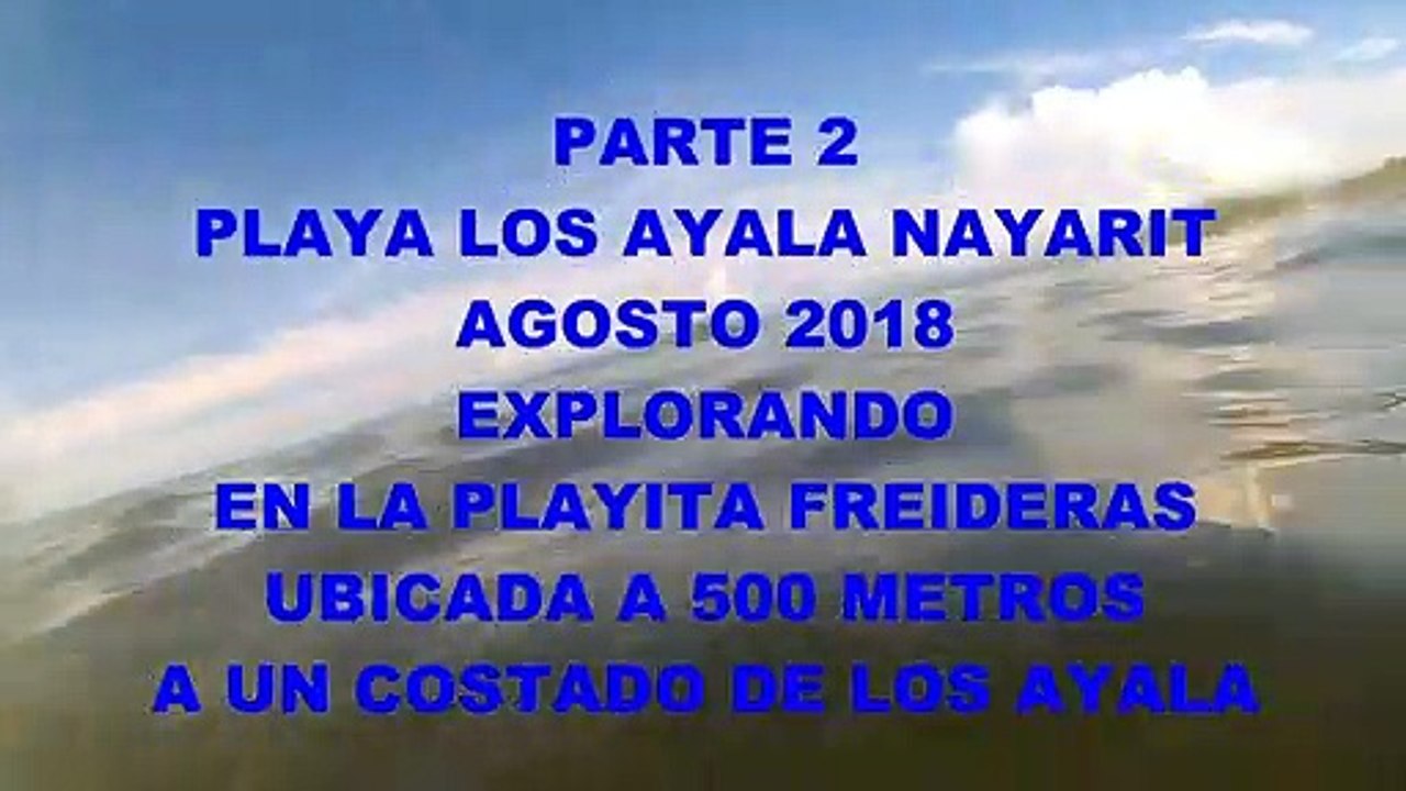 Los ayala beach, in nayarit state of mexico, rare crab and snorkeling, august 2018, part 2.
