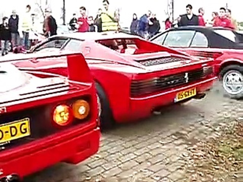 Ferrari F40 _ Houten(360P)
