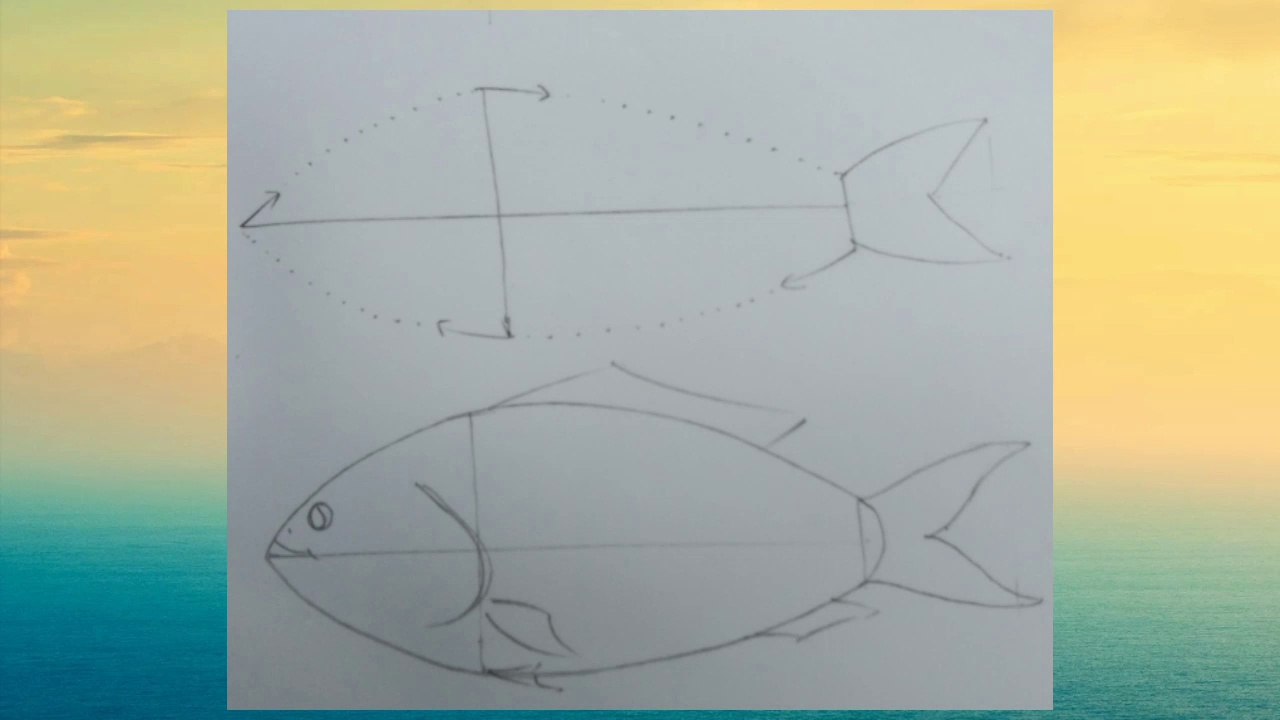 Eassy steps to drawing fish tutorial with colour
