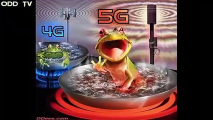 Some bunnies fly better than beats -e