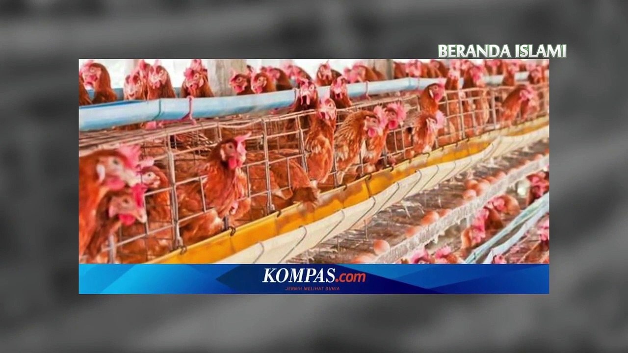 Hukum mengkonsumsi makanan tanpa label halal - Kalam Hati