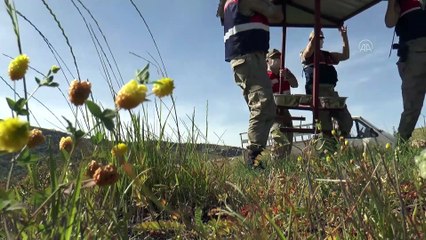 Jandarma sokak hayvanlarını unutmadı - DİYARBAKIR