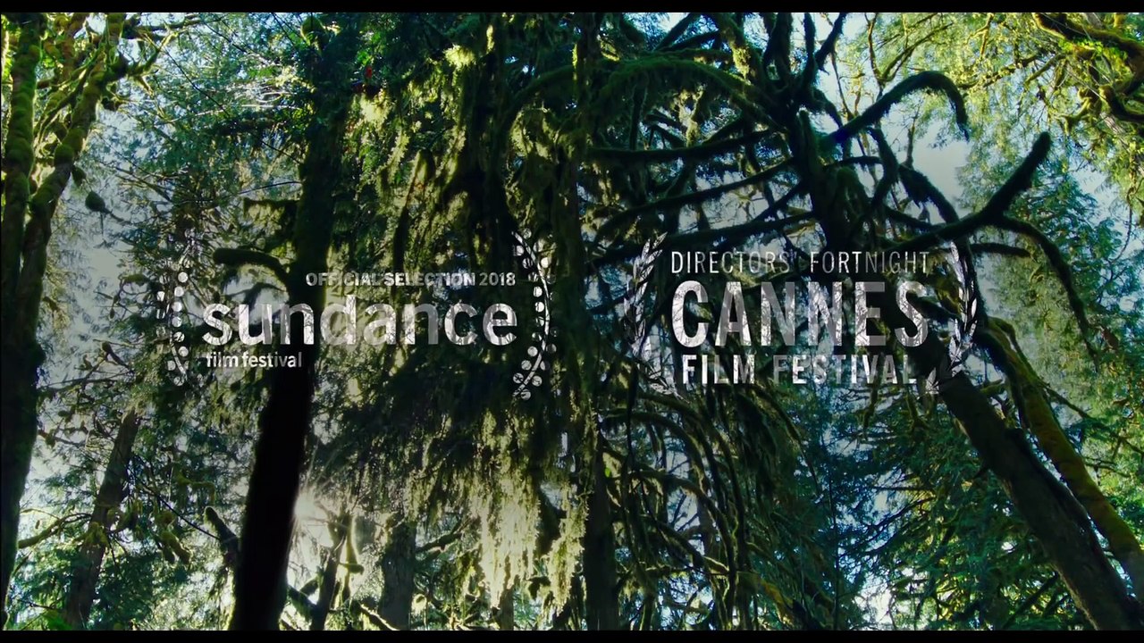 Leave No Trace - Trailer