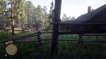 Red Dead Redemption 2 Online Localización de Objetos Colección de Veteranos