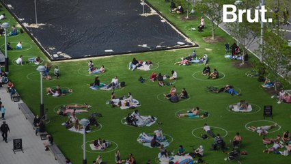 The story behind the social distance circles in a Brooklyn park