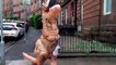 Have you seen a dinosaur wandering the streets of Glasgow lately?