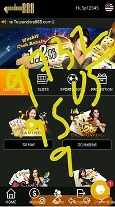 india betting