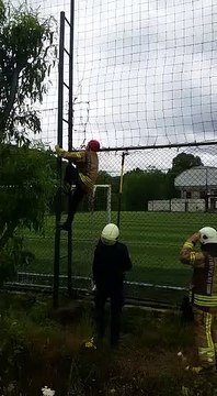 İtfaiye ekipleri, mahsur kalan kuşun imdadına yetişti