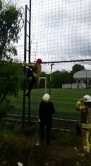 İtfaiye ekipleri, mahsur kalan kuşun imdadına yetişti