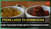 From lassi to kombucha, our fascination with fermentation continues