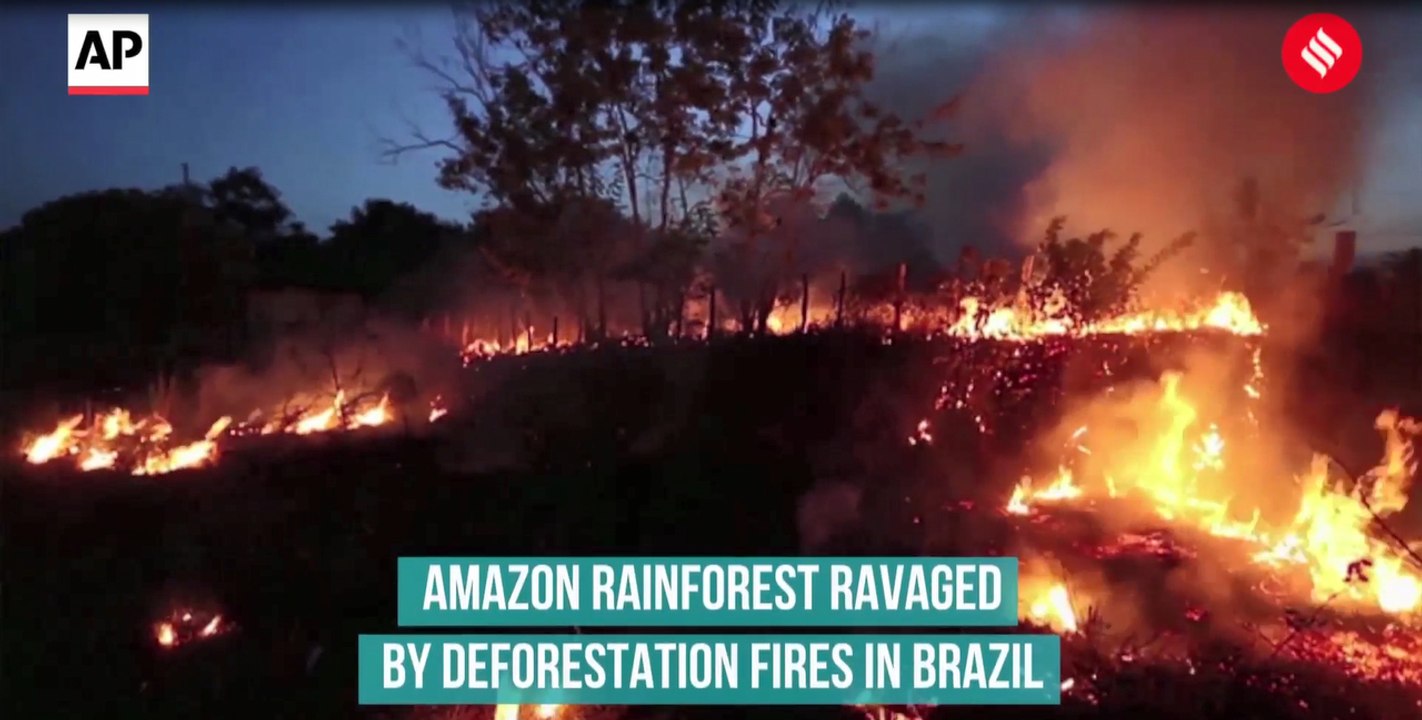 Amazon rainforest ravaged by deforestation fires in Brazil
