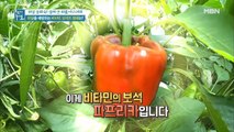 면역력 쑥↑ 위암 발생률 뚝↓ 오늘의 주인공은…?!