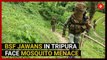 Tripura: BSF jawans face mosquito menace in malaria-endemic zone