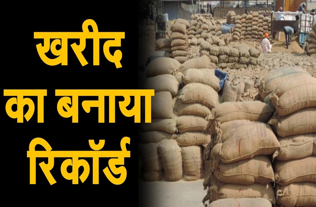 राजफैड ने एक दिन में सर्वाधिक 32 हजार मीट्रिक टन खरीद का बनाया रिकॉर्ड