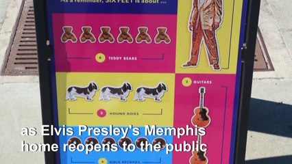Elvis enthusiasts visit the King's house as it reopens with limited capacity