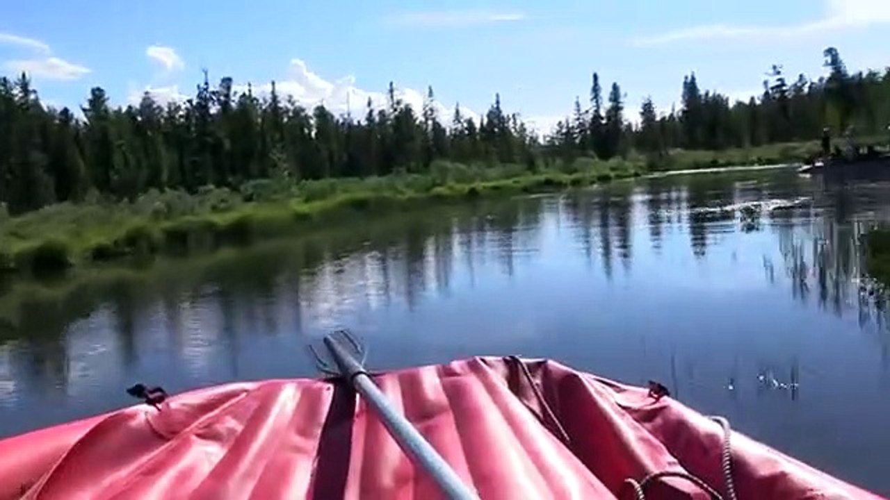 Mr.Putin - President Of Russia - Enjoying his Life ! So Beautiful