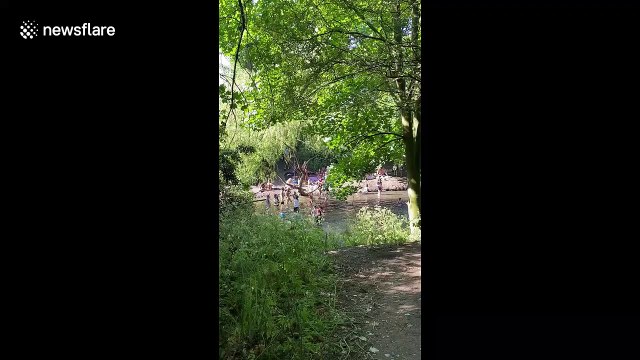 Sunseekers test social distancing by swimming in London's Hackney Marshes in hot weather