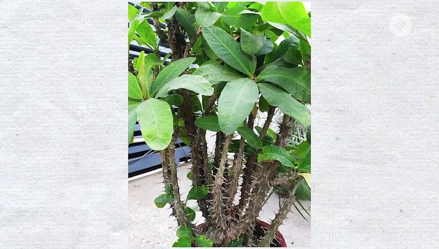 Redmi Note 8 review: This Xiaomi phone is a sweet deal