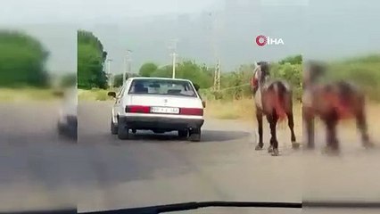 Atı otomobile bağlayıp metrelerce koşturdular!