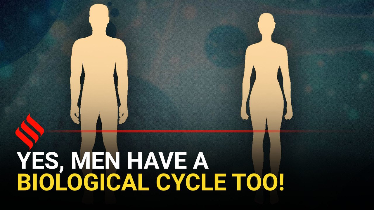 Yes, men have a biological cycle too! A doc explains
