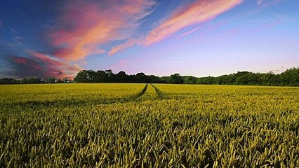 Dam Is Disturbing - Dam Is Doomed - Diamer Bhasha Dam - Don't Stop