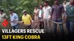 Villagers rescue 13ft king cobra stuck in well
