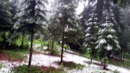 Düzce'nin yüksek kesimlerinde mayıs ayında kar sürprizi