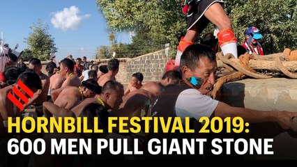 Hornbill Festival 2019: Watch how 600 men pull a giant slab of stone