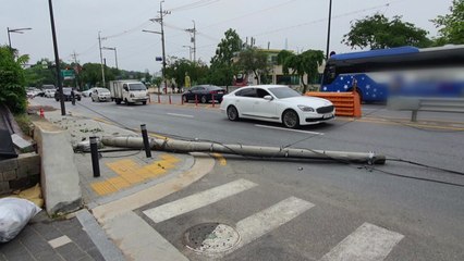 10m 전신주 쓰러져 정전..."트럭이 전선에 걸려" / YTN