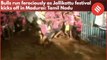 Bulls run ferociously as Jallikattu festival kicks off in Madurai: Tamil Nadu
