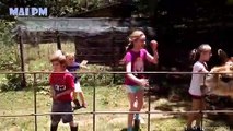 Cute Llama Alpaca can Attack Human -  Hilairous ! Funniest Animals Videos 2020