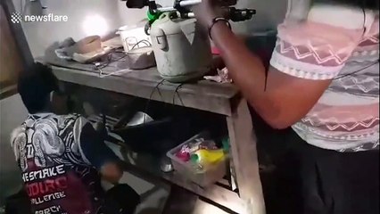 Thai family shocked after finding cobra inside kitchen rice pot