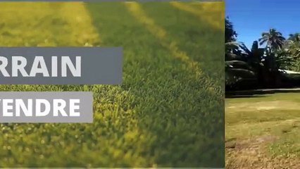 A Vendre Terrain viabilisé de 1200m2 à Moorea-Maatea