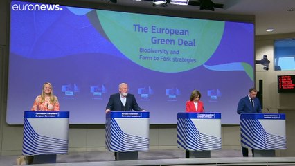 Zum Tag der Artenvielfalt: EU bleibt bei "Grünem Deal" - trotz Covid-19