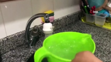 Temizlemek İçin Söktüğü Musluk Filtresinde Yüzlerce Sinek Görünce Şaşkına Döndü