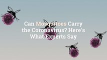 Can Mosquitoes Carry the Coronavirus? Here's What Experts Say