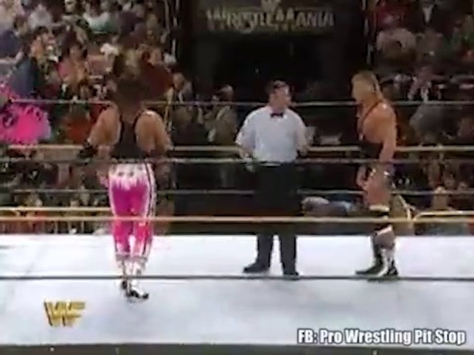 Bret Hart vs. Owen Hart – WrestleMania 10 - video Dailymotion