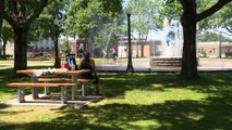 Piscine, barbecue et jardinage : Un été dans la cour arrière!