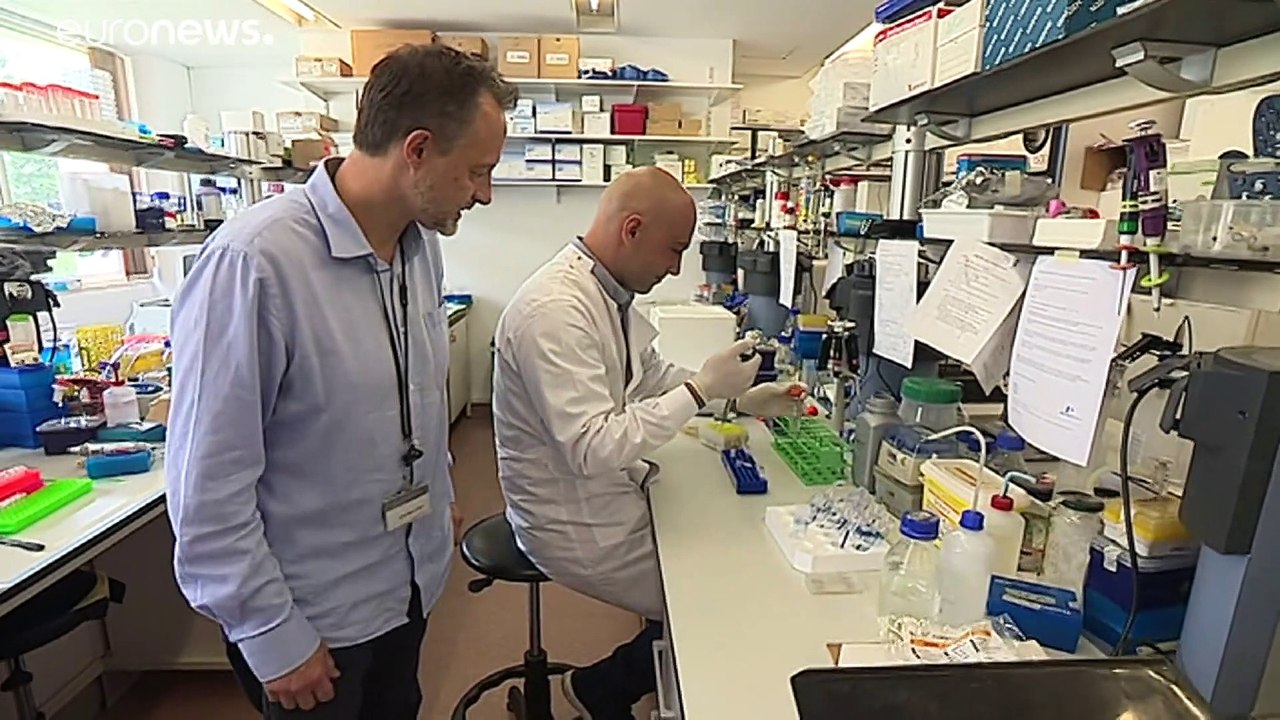 Un antidoto contro la malaria