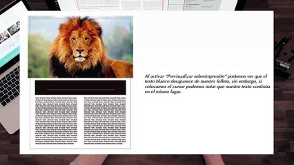 salidas impresion pt 3