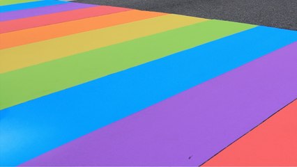 Pride Month Will March On... Virtually