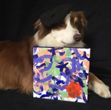 The Sales From This Painting Dog’s Artwork Have Funded 2,000 Pounds of Food Donations Duri