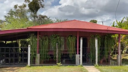 mqn-La casa de los helechos-220520