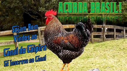 Reunião Ministerial de 22 de Abril de 2020 - Presidente Jair Bolsonaro