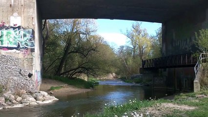 Oshawa Local Park With water Diversion and Photos of small bird at end