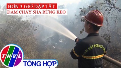 Hơn 3 giờ khống chế vụ cháy rừng thông tại Đà Nẵng