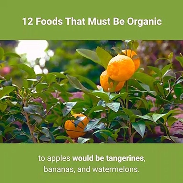 12-foods-that-must-be-organic